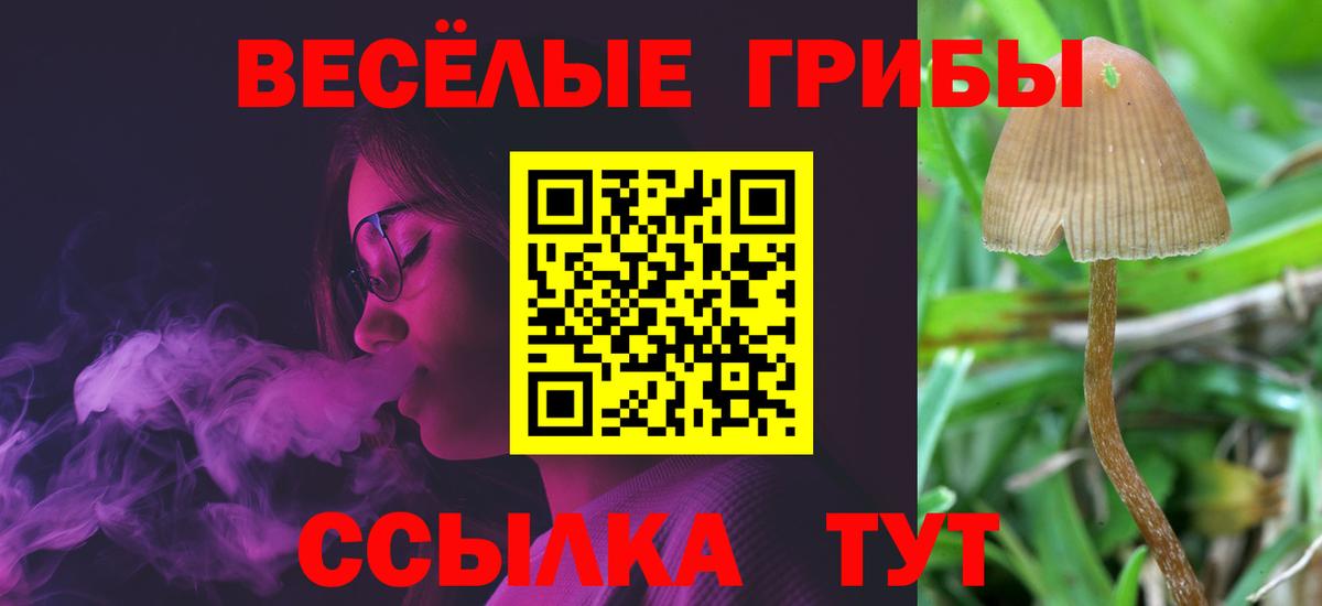 Галлюциногенные грибы Psilocybine cubensis  Вход с VPN  Елец 